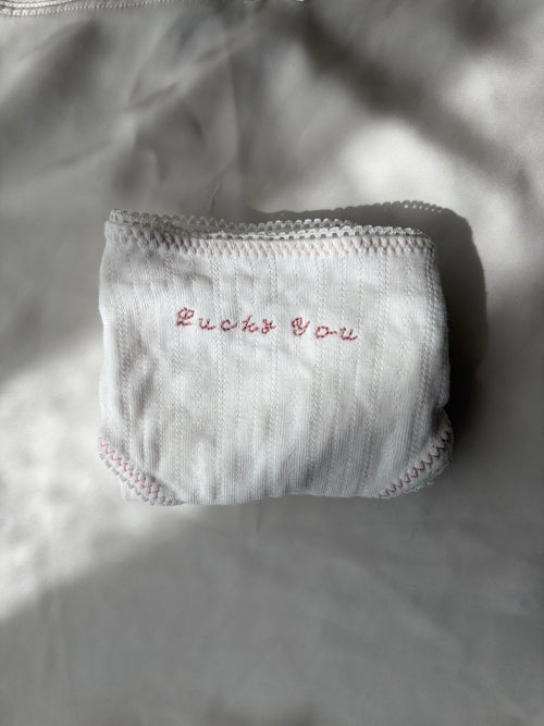 the aanika briefs